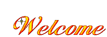 Welcome to Lucky You Hair Salon